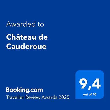 Chateau De Cauderoue Нерак Экстерьер фото