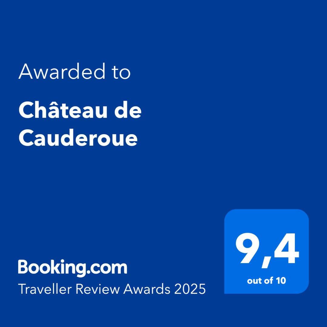 Chateau De Cauderoue Нерак Экстерьер фото